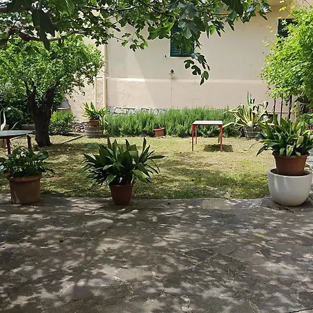 Toscani Da Sempre